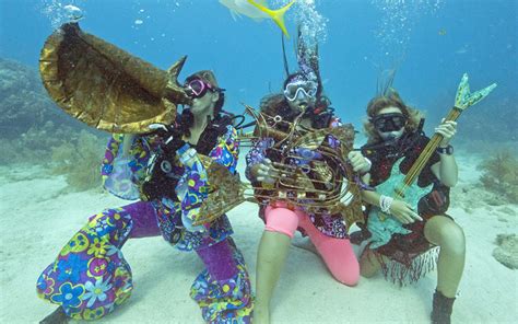  Violin Crab: Un Crustacé Qui Joue de la Musique sous-Marine avec ses Épais Cheveux!